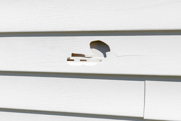 Siding Removal and Disposal in Roseto, PA