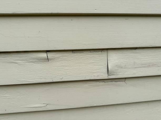 Trusted Roseto, PA Siding Services Experts